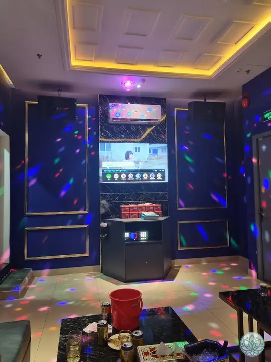 가라오케 기기 모습