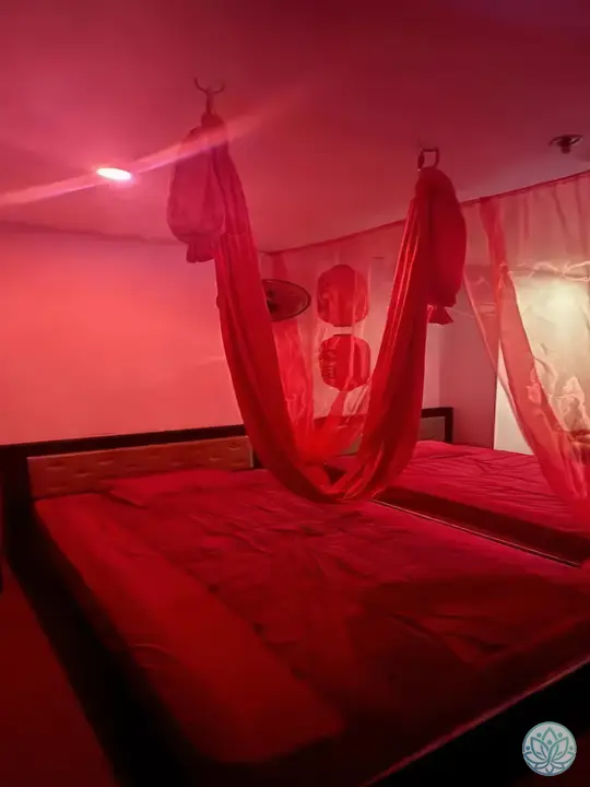 그네코스가 설비된 룸