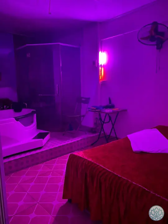 네온 스타일의 조명