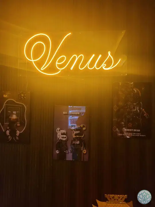 비너스 가라오케 네온사인