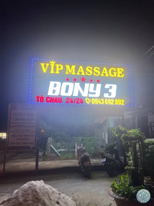 보니3 야간 네온 간판