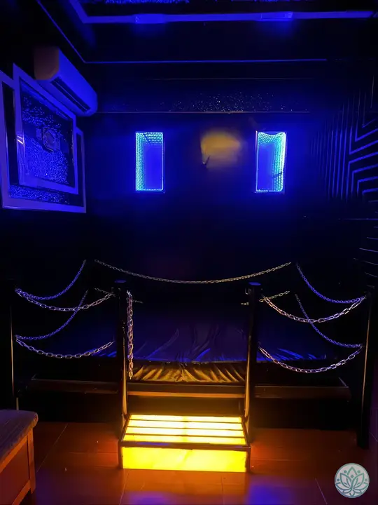 체인 장식의 방